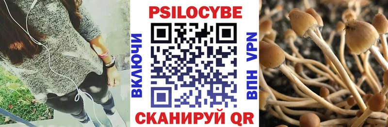 даркнет как зайти  Давлеканово  Псилоцибиновые грибы мухоморы  сколько стоит 